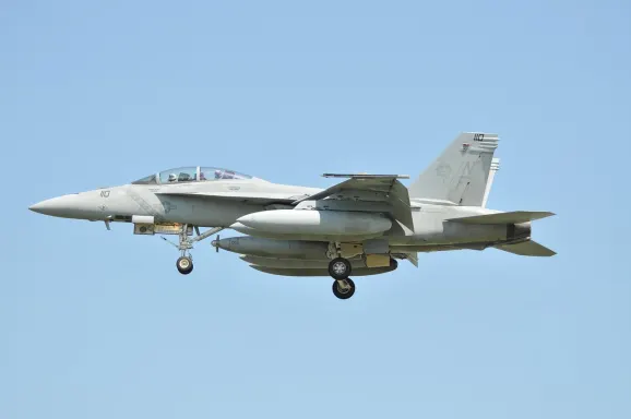 Casino Crypto Wild Stuðningur